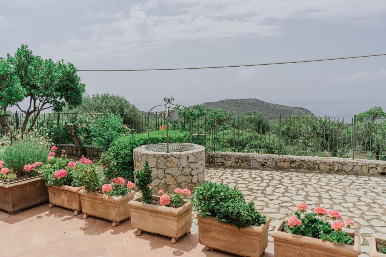Hotel Relais Pian Delle Starze 마리나디카메로타 외부 사진